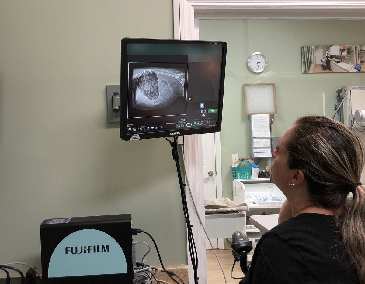 Fujifilm digital radiography workstation installed by MRS, with a radiograph on a Barco diagnostic display
